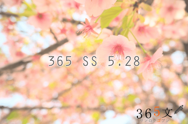 365 SS 5.28