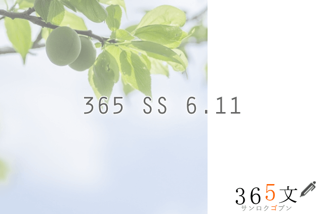 365 SS 6.11
